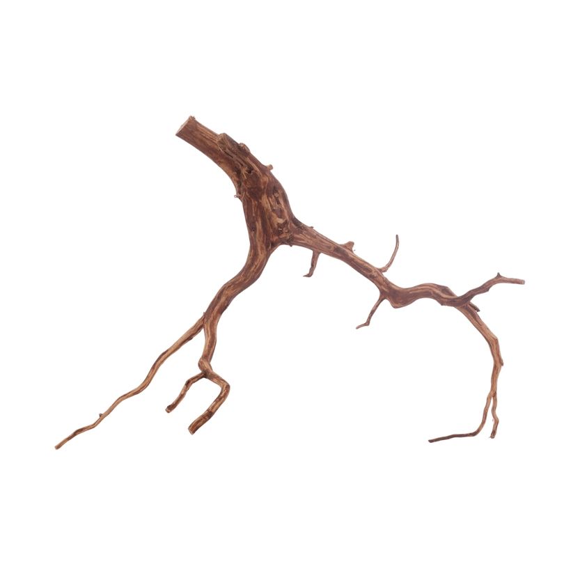 XL Red Spider Wurzel Nr.3172 Fingerwurzel Echtholz Deko Aquascaping