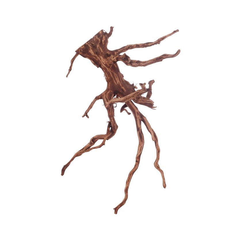 XL Red Spider Wurzel Nr.3173 Fingerwurzel Echtholz Deko Aquascaping
