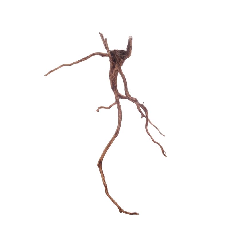 XL Red Spider Wurzel Nr.3174 Fingerwurzel Echtholz Deko Aquascaping