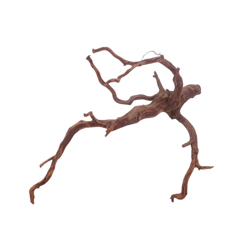 XL Red Spider Wurzel Nr.3175 Fingerwurzel Echtholz Deko Aquascaping