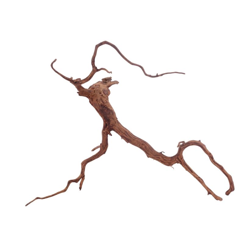 XL Red Spider Wurzel Nr.3177 Fingerwurzel Echtholz Deko Aquascaping