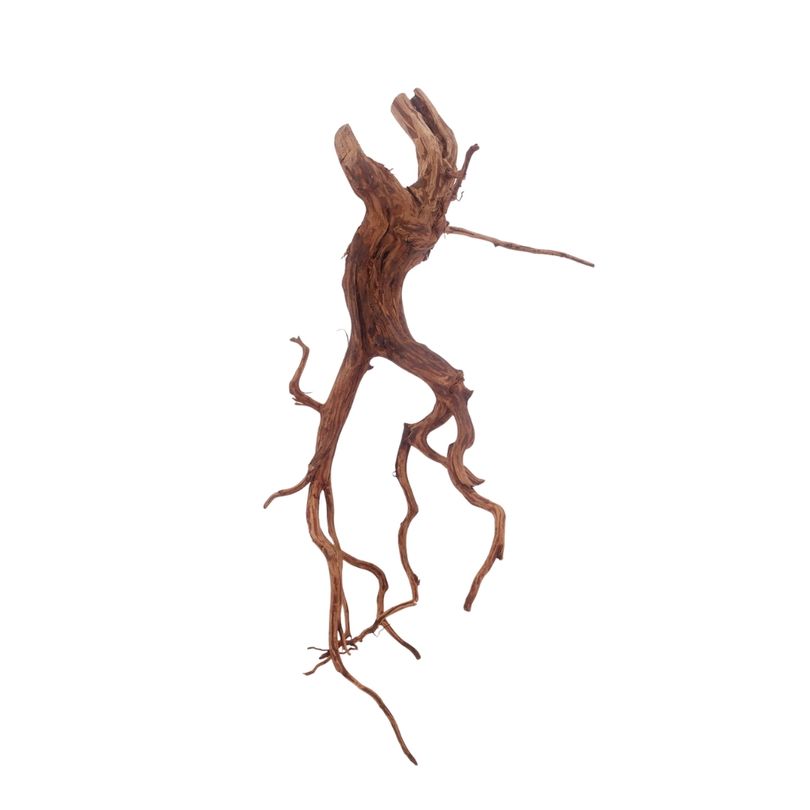 XL Red Spider Wurzel Nr.3178 Fingerwurzel Echtholz Deko Aquascaping