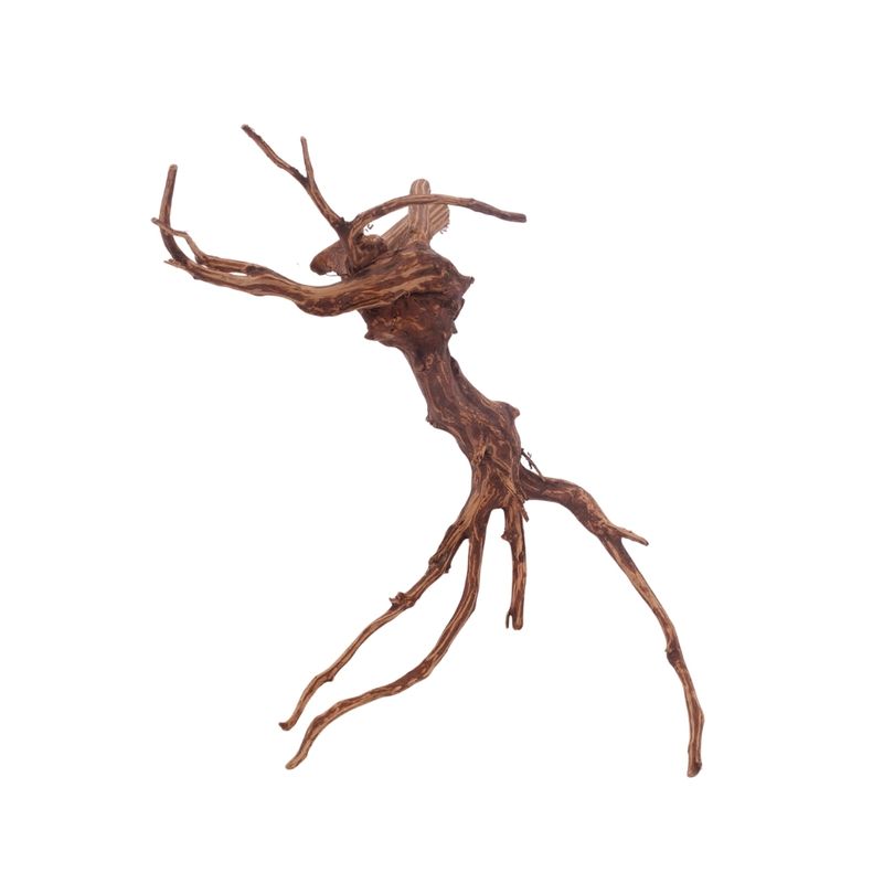 XL Red Spider Wurzel Nr.3179 Fingerwurzel Echtholz Deko Aquascaping