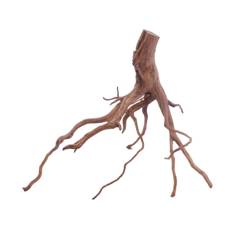 XL Red Spider Wurzel Nr.3182 Fingerwurzel Echtholz Deko Aquascaping