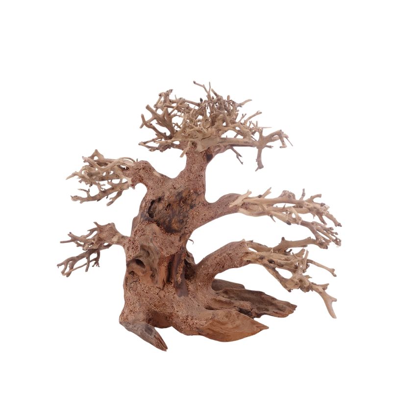 M Bonsai Baum Nr.3303 Wurzel Holz Aquarium Deko Aquascaping 