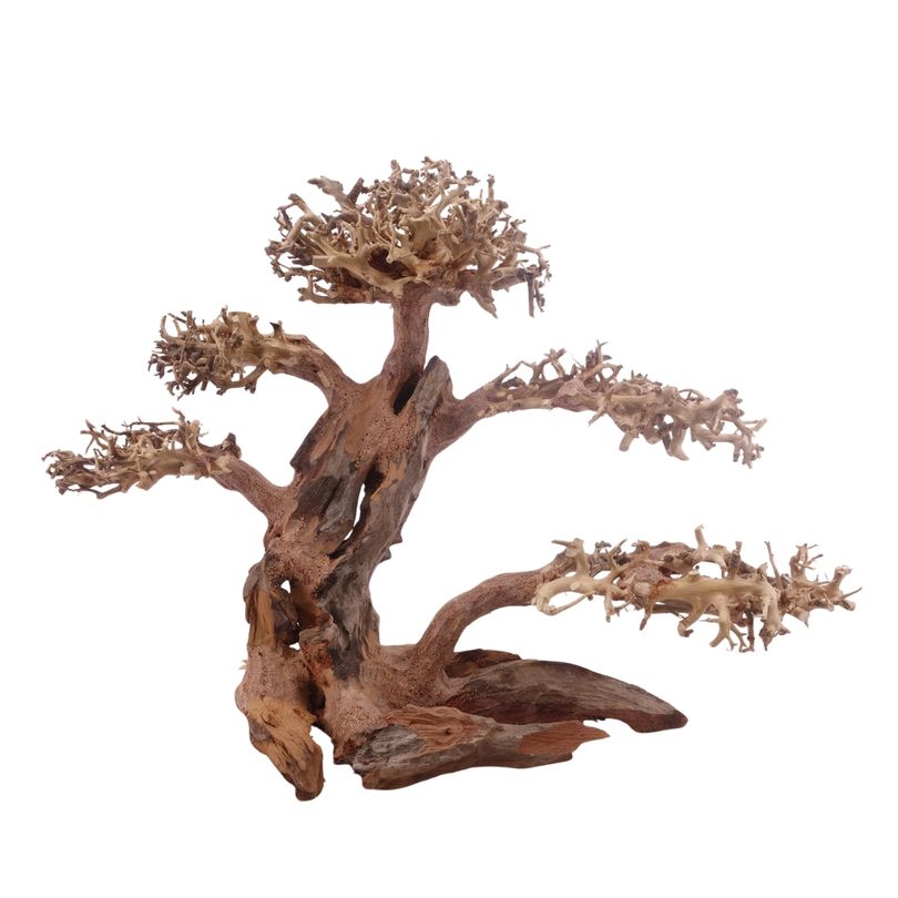 XL Bonsai Baum Nr.3312 Wurzel Holz Aquarium Deko Aquascaping