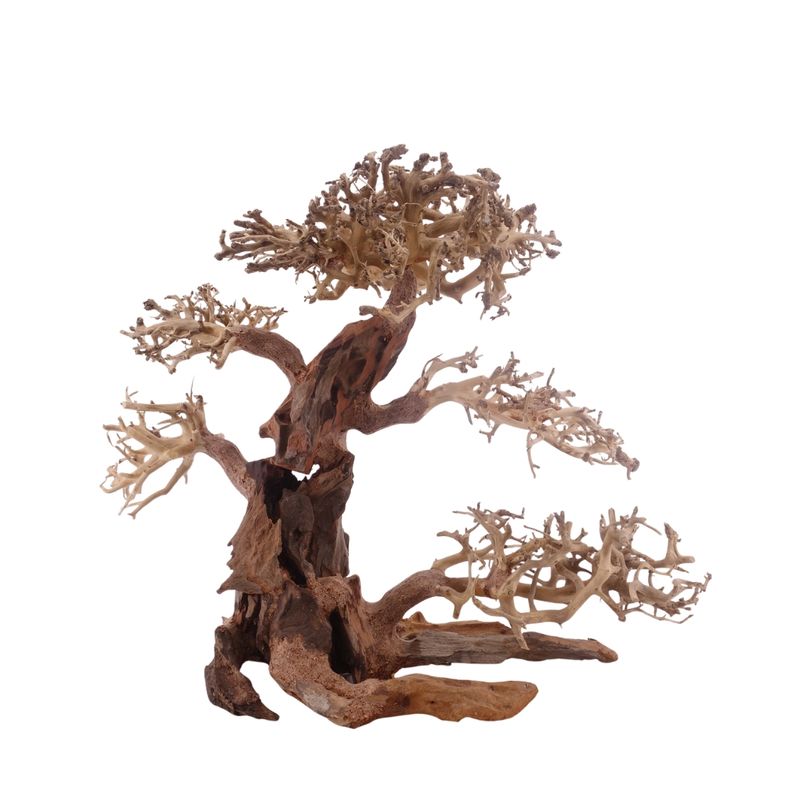 XL Bonsai Baum Nr.3313 Wurzel Holz Aquarium Deko Aquascaping