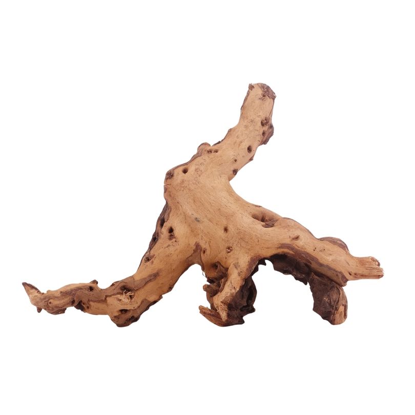 XL Mopani Wurzel Nr.3295 Holz Deko Aquascaping