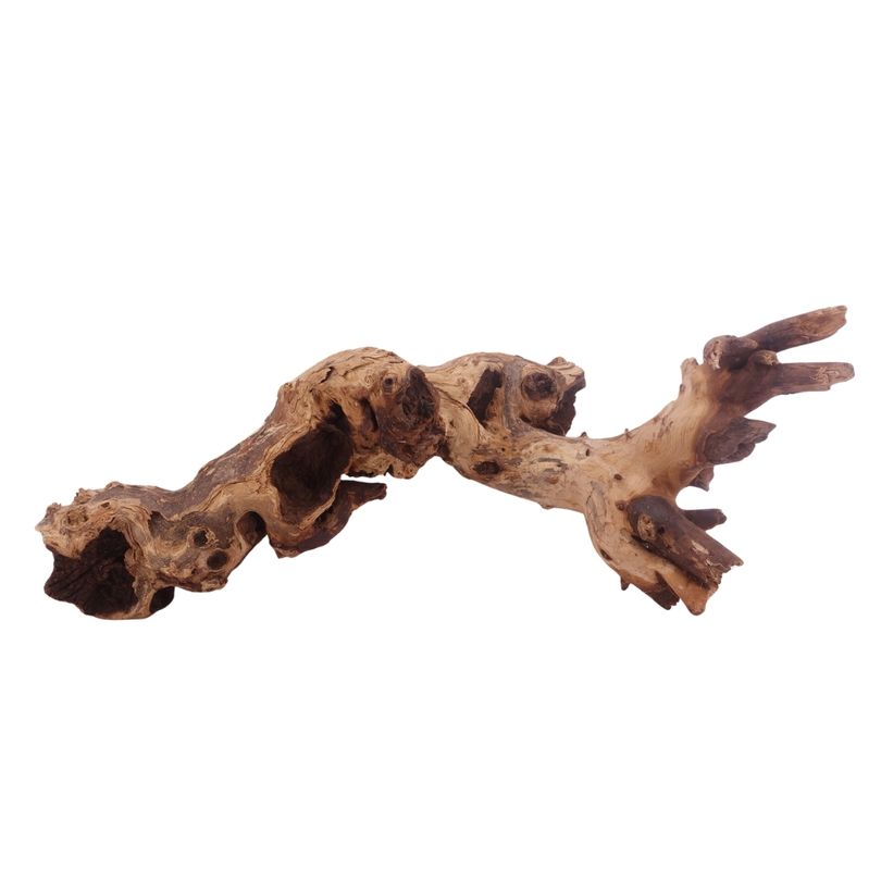 XL Mopani Wurzel Nr.3296 Holz Deko Aquascaping