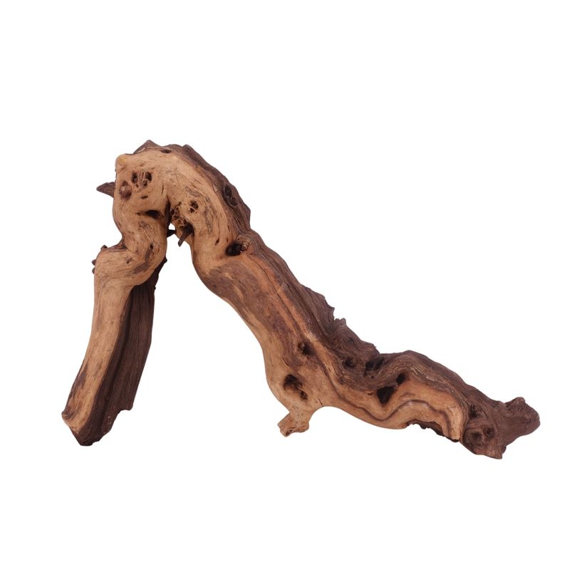 XL Mopani Wurzel Nr.3297 Holz Deko Aquascaping