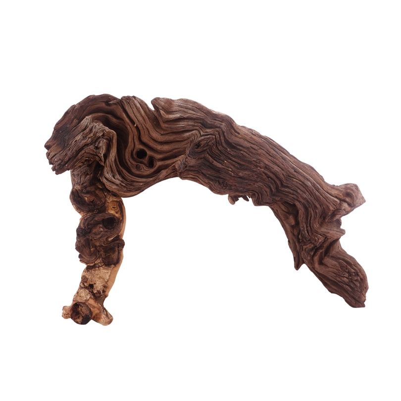 XL Mopani Wurzel Nr.3298 Holz Deko Aquascaping