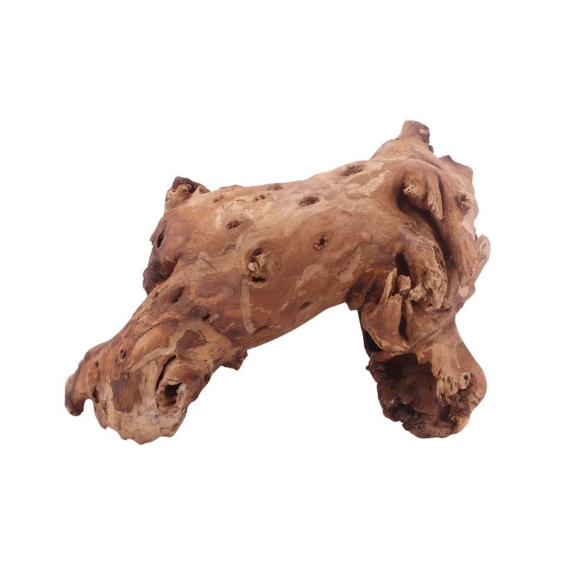 XL Mopani Wurzel Nr.3302 Holz Deko Aquascaping
