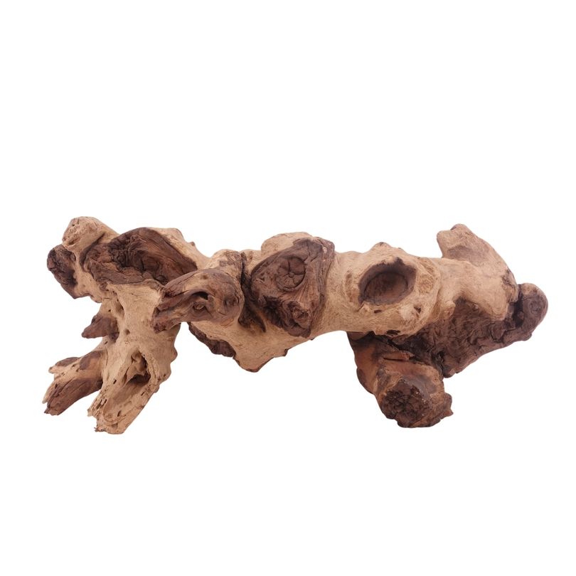 XL Mopani Wurzel Nr.3315 Holz Deko Aquascaping