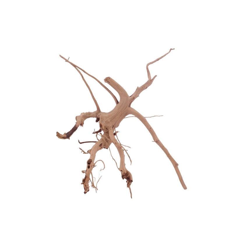 M Siennawurzel Nr.3215 Wurzel Holz Aquarium Deko Aquascaping