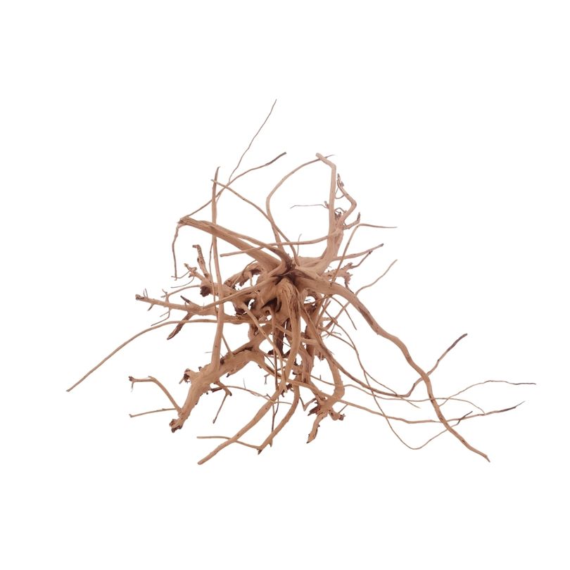 M Siennawurzel Nr.3216 Wurzel Holz Aquarium Deko Aquascaping