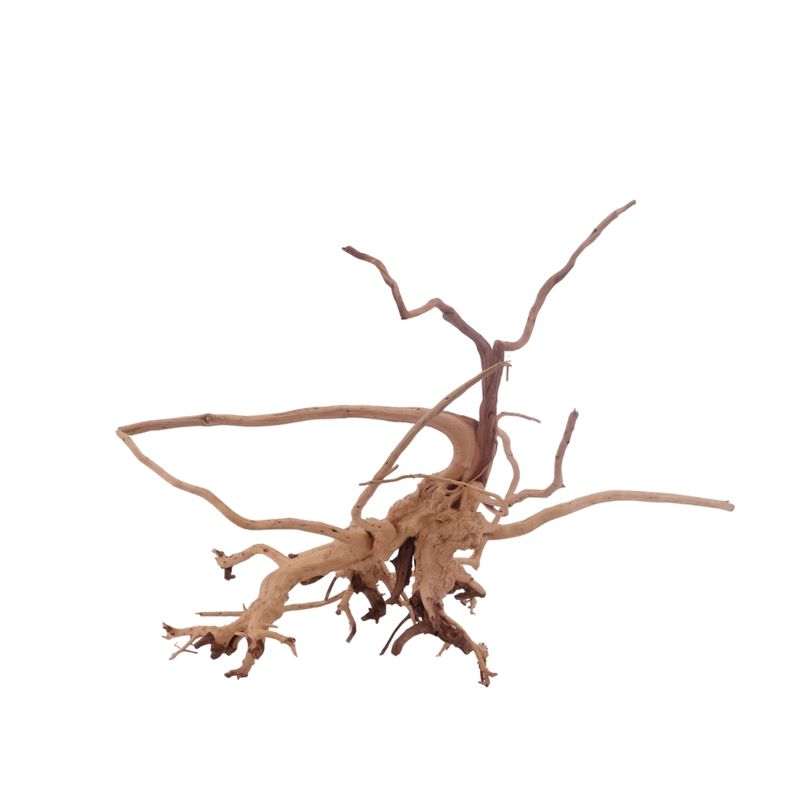 M Siennawurzel Nr.3217 Wurzel Holz Aquarium Deko Aquascaping 