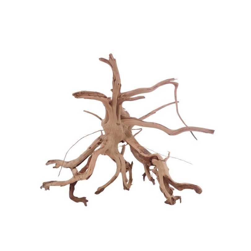 M Siennawurzel Nr.3218 Wurzel Holz Aquarium Deko Aquascaping