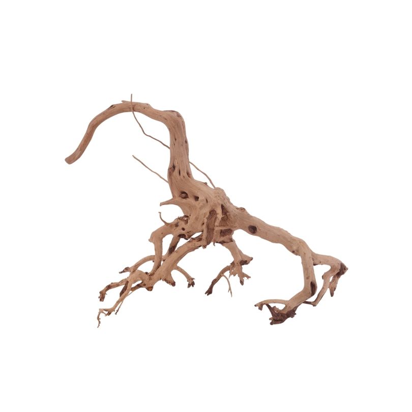 M Siennawurzel Nr.3221 Wurzel Holz Aquarium Deko Aquascaping