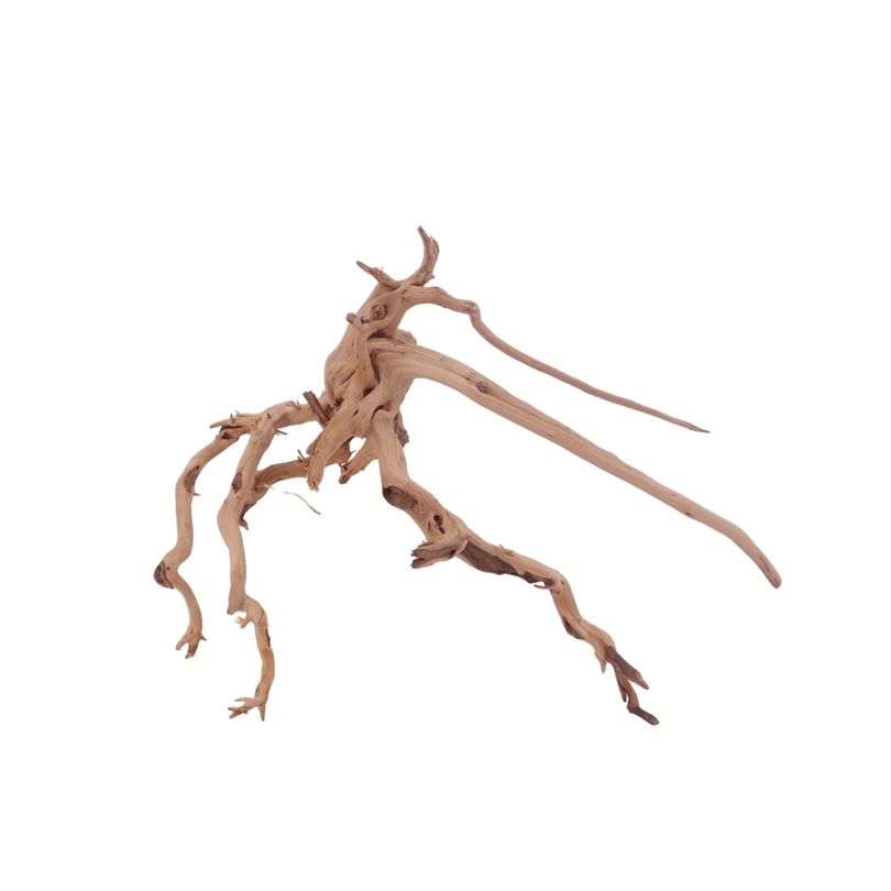 M Siennawurzel Nr.3223 Wurzel Holz Aquarium Deko Aquascaping 