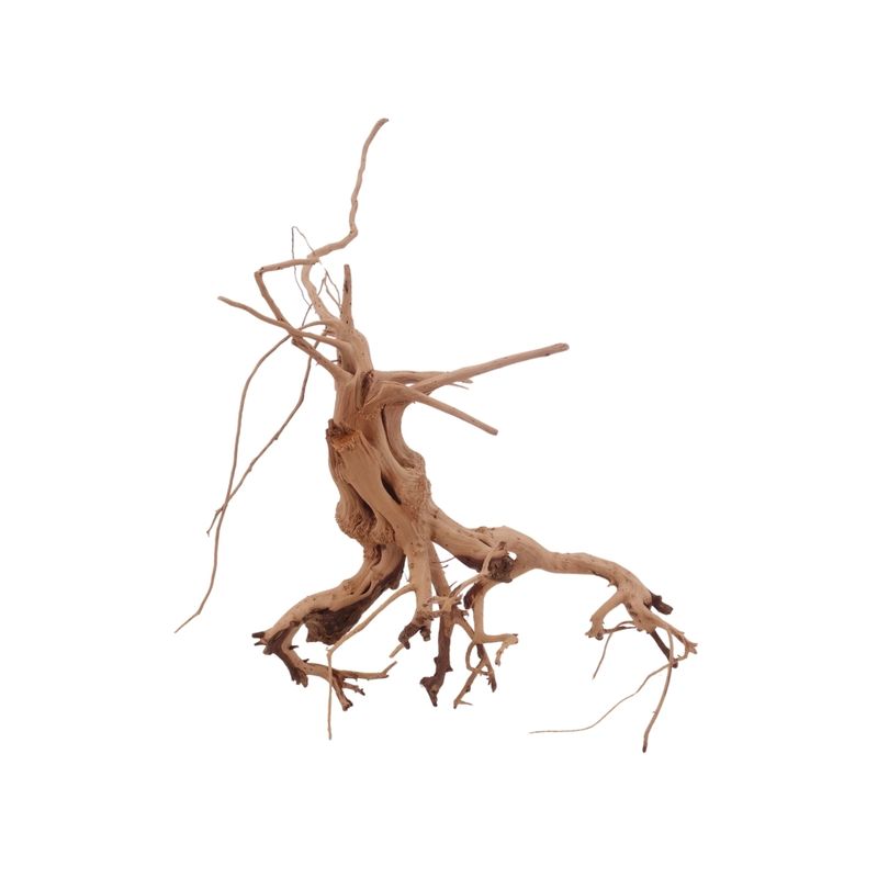 M Siennawurzel Nr.3224 Wurzel Holz Aquarium Deko Aquascaping 