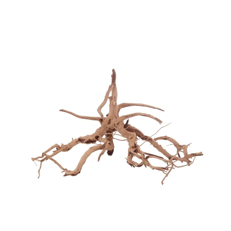 M Siennawurzel Nr.3225 Wurzel Holz Aquarium Deko Aquascaping