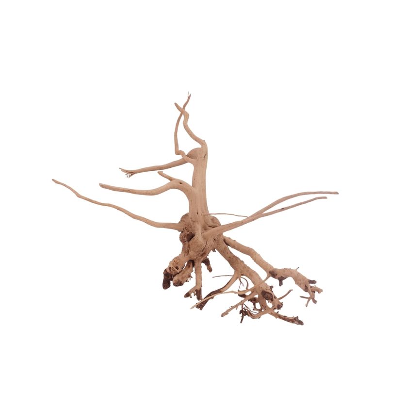 M Siennawurzel Nr.3228 Wurzel Holz Aquarium Deko Aquascaping