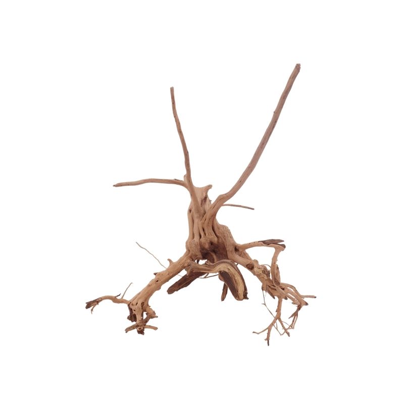 M Siennawurzel Nr.3229 Wurzel Holz Aquarium Deko Aquascaping