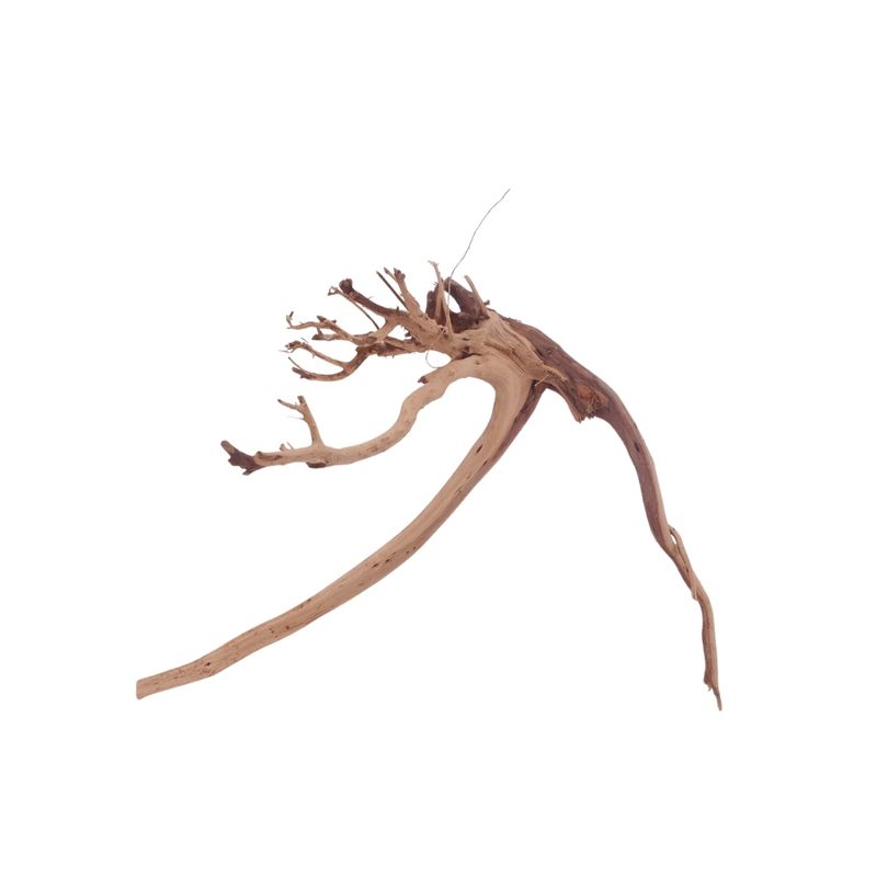 M Siennawurzel Nr.3232 Wurzel Holz Aquarium Deko Aquascaping