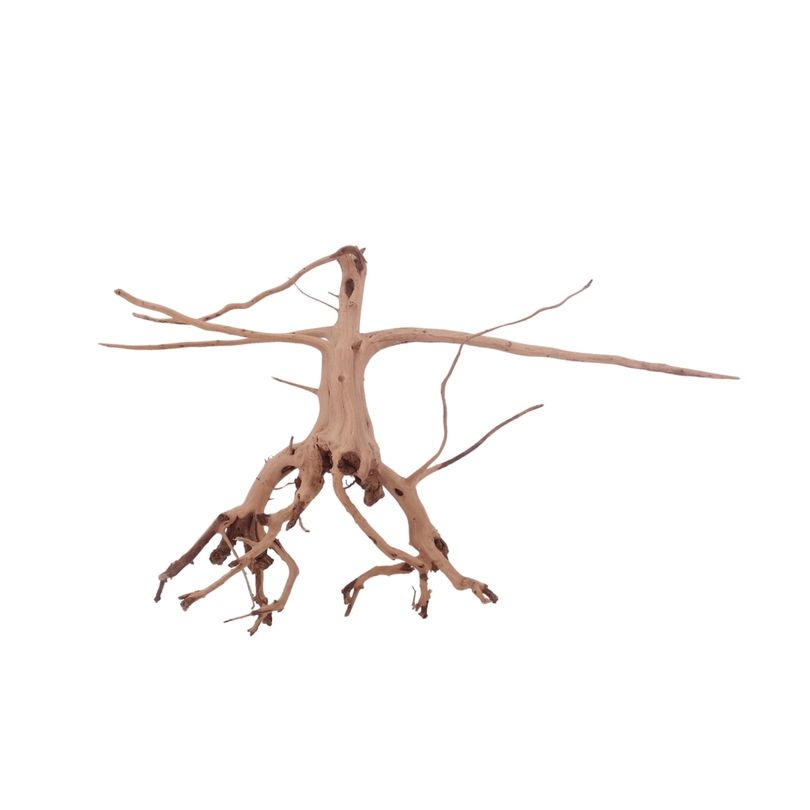 M Siennawurzel Nr.3233 Wurzel Holz Aquarium Deko Aquascaping 