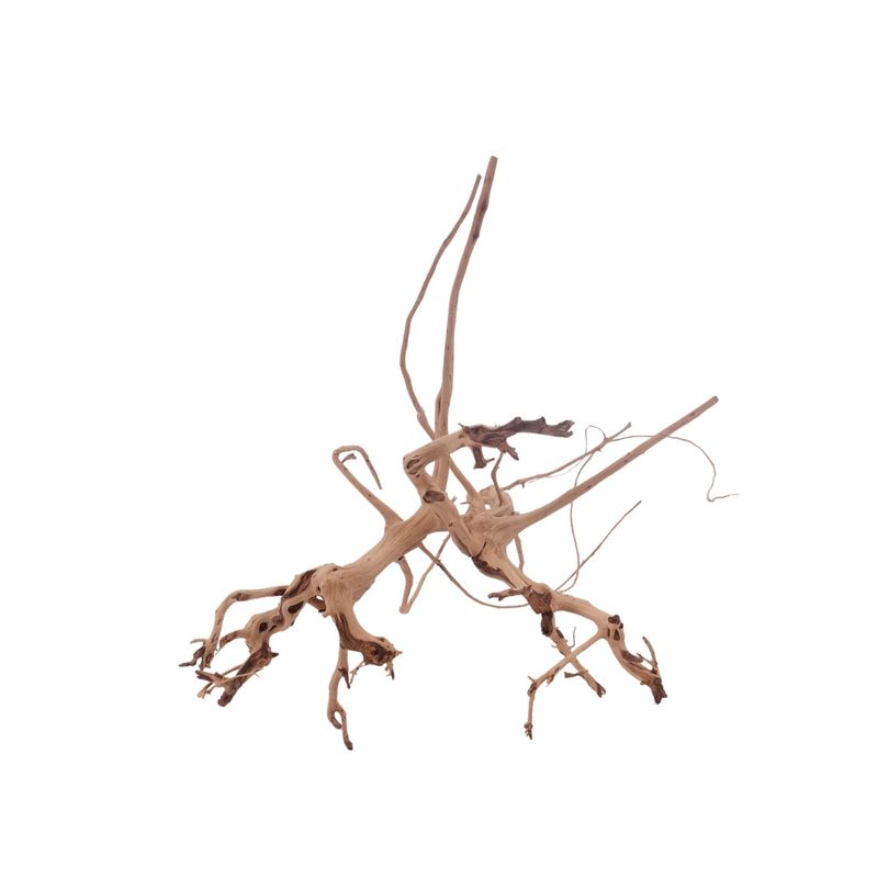 M Siennawurzel Nr.3234 Wurzel Holz Aquarium Deko Aquascaping 