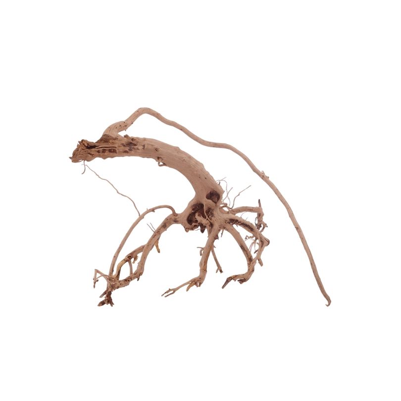 M Siennawurzel Nr.3235 Wurzel Holz Aquarium Deko Aquascaping