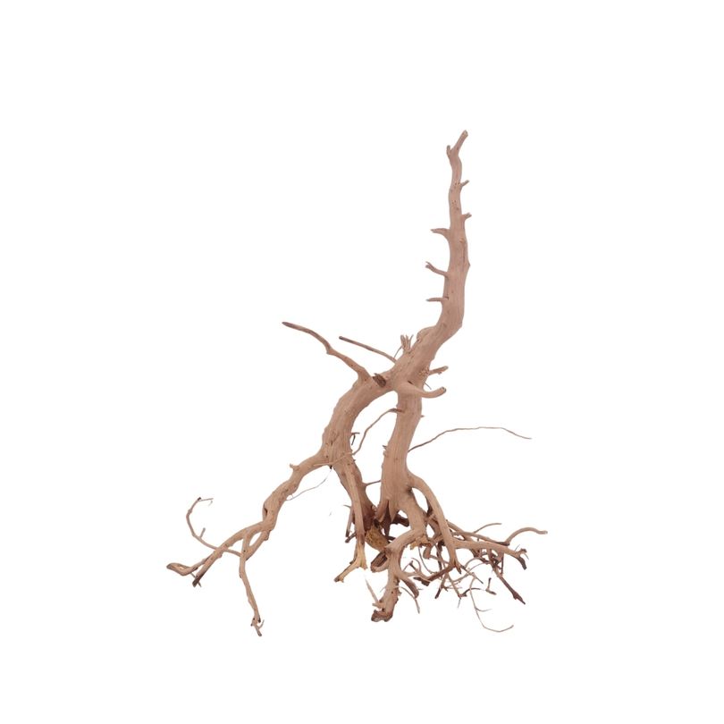 M Siennawurzel Nr.3238 Wurzel Holz Aquarium Deko Aquascaping