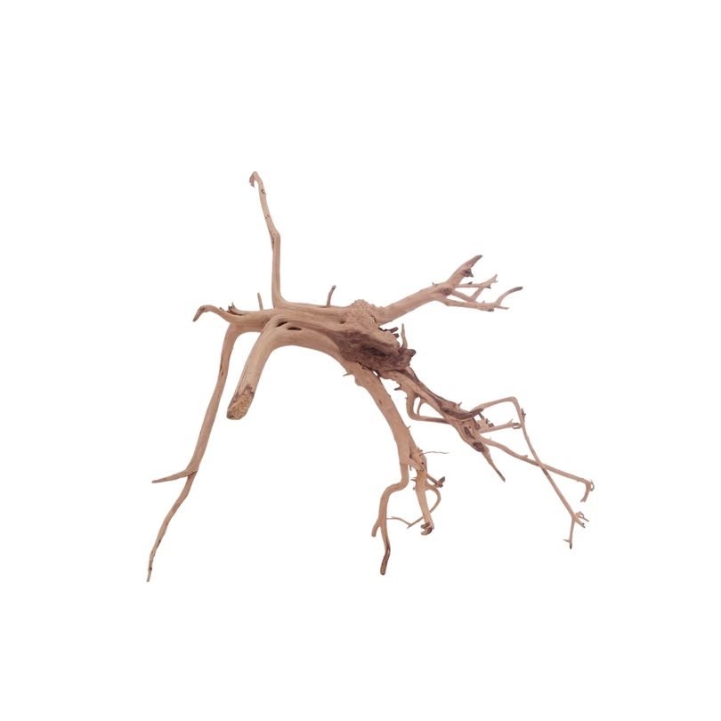 M Siennawurzel Nr.3239 Wurzel Holz Aquarium Deko Aquascaping 