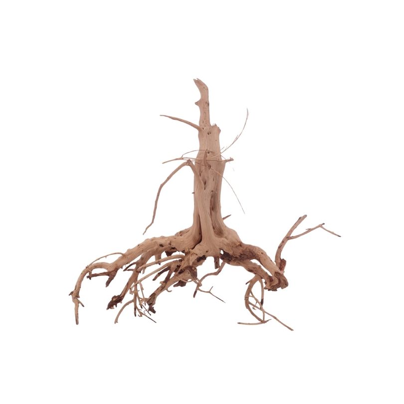 M Siennawurzel Nr.3240 Wurzel Holz Aquarium Deko Aquascaping