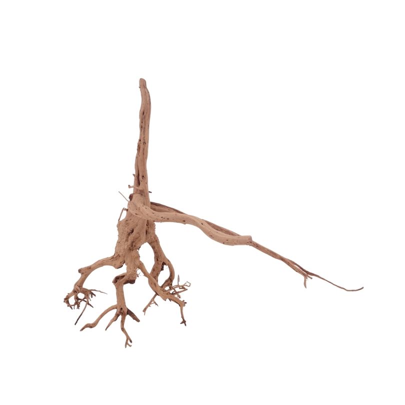 M Siennawurzel Nr.3242 Wurzel Holz Aquarium Deko Aquascaping 