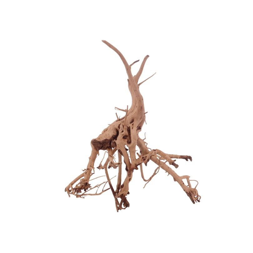 M Siennawurzel Nr.3248 Wurzel Holz Aquarium Deko Aquascaping 