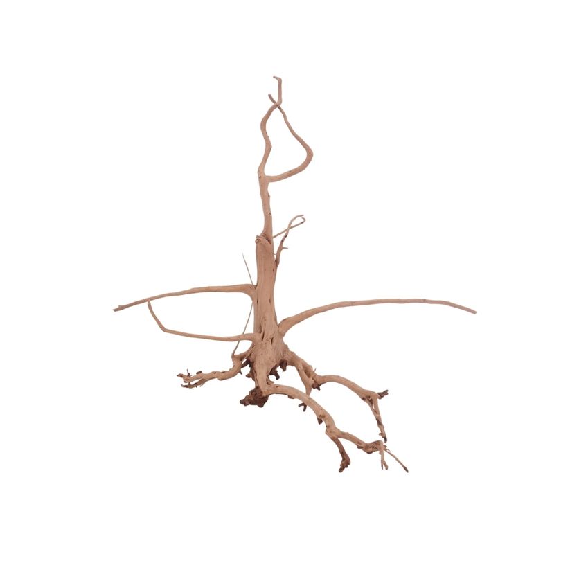 M Siennawurzel Nr.3249 Wurzel Holz Aquarium Deko Aquascaping 