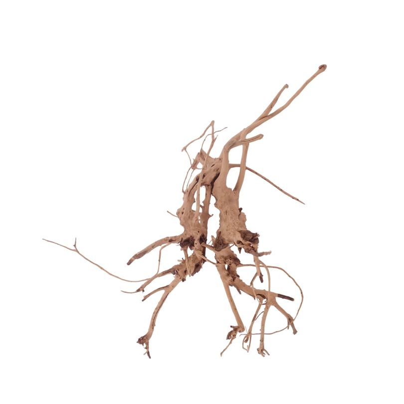 M Siennawurzel Nr.3250 Wurzel Holz Aquarium Deko Aquascaping 