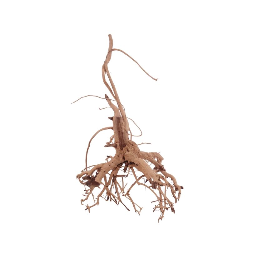 M Siennawurzel Nr.3251 Wurzel Holz Aquarium Deko Aquascaping