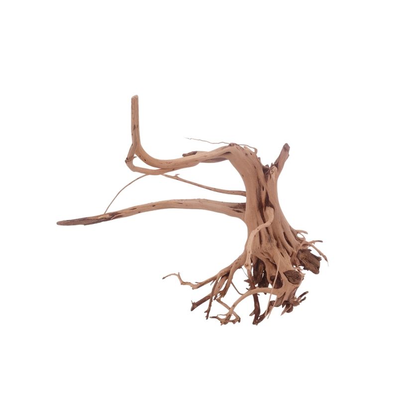 M Siennawurzel Nr.3252 Wurzel Holz Aquarium Deko Aquascaping