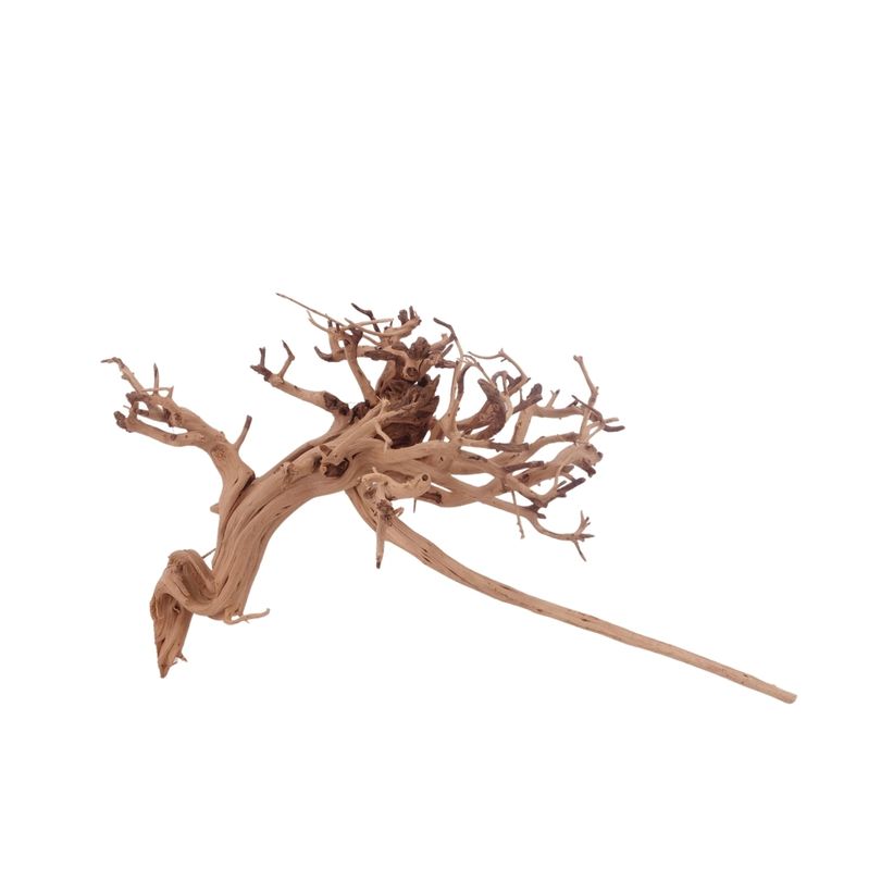 M Siennawurzel Nr.3254 Wurzel Holz Aquarium Deko Aquascaping