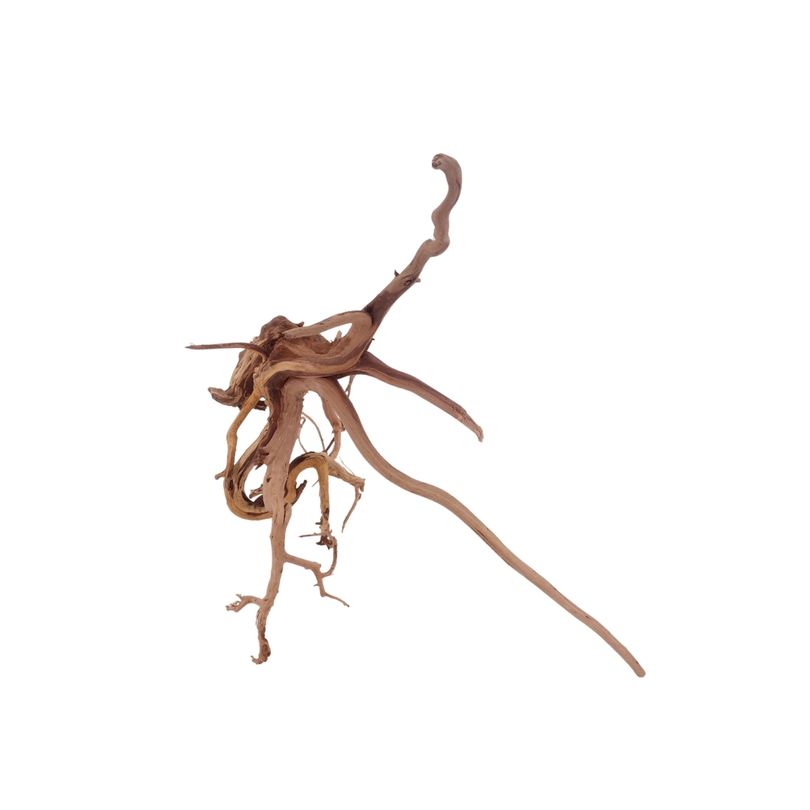 M Siennawurzel Nr.3255 Wurzel Holz Aquarium Deko Aquascaping 