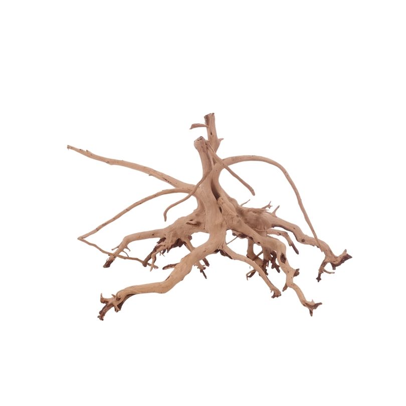 M Siennawurzel Nr.3257 Wurzel Holz Aquarium Deko Aquascaping 