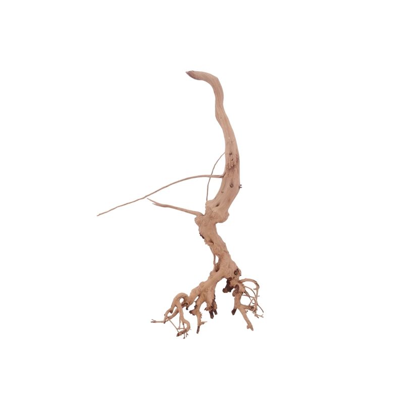 M Siennawurzel Nr.3258 Wurzel Holz Aquarium Deko Aquascaping