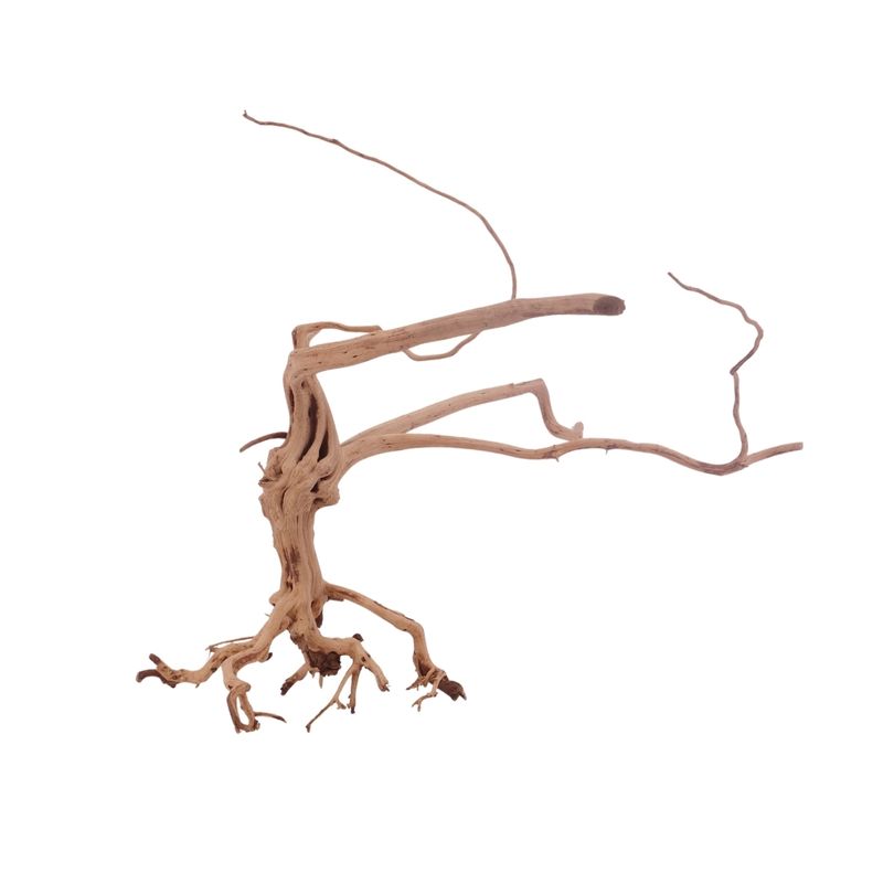 L Siennawurzel Nr.3260 Wurzel Holz Aquarium Deko Aquascaping