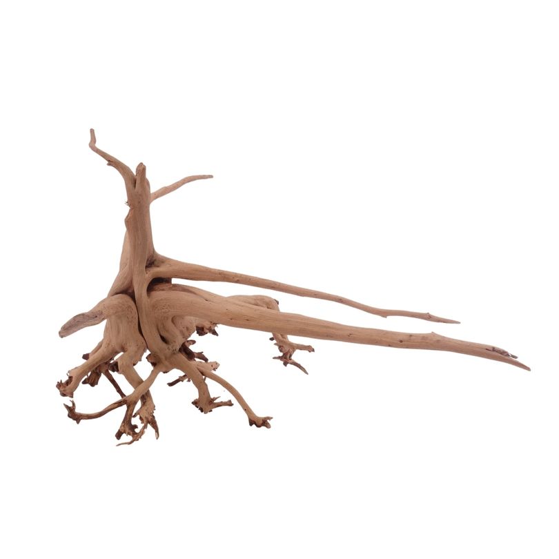 L Siennawurzel Nr.3262 Wurzel Holz Aquarium Deko Aquascaping