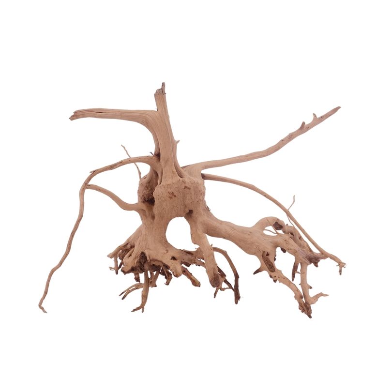 L Siennawurzel Nr.3264 Wurzel Holz Aquarium Deko Aquascaping