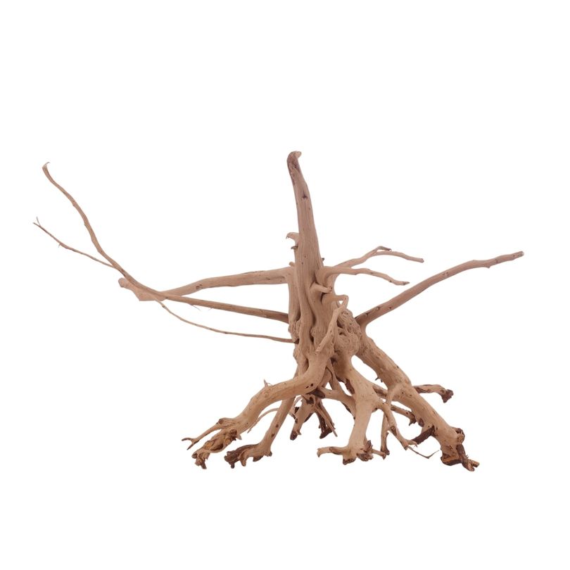 L Siennawurzel Nr.3265 Wurzel Holz Aquarium Deko Aquascaping