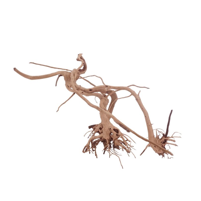L Siennawurzel Nr.3269 Wurzel Holz Aquarium Deko Aquascaping
