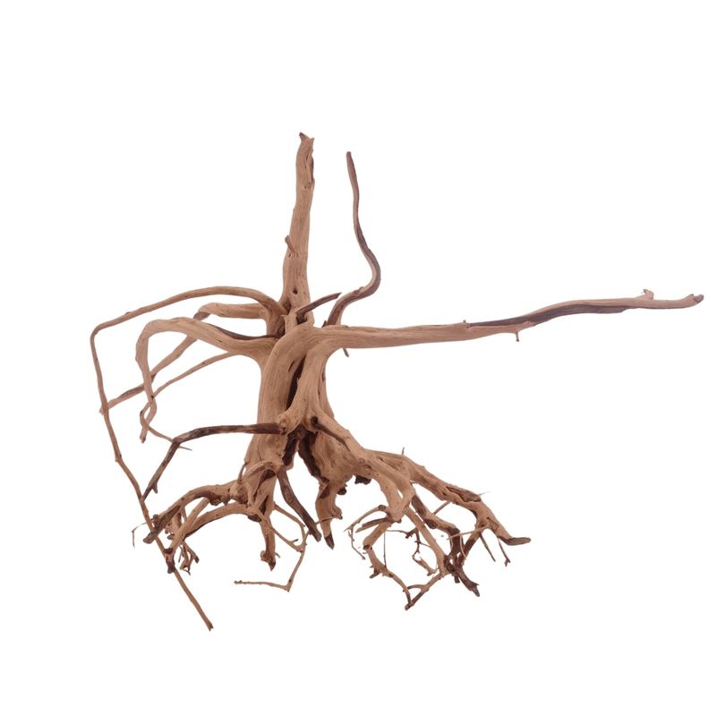 L Siennawurzel Nr.3270 Wurzel Holz Aquarium Deko Aquascaping